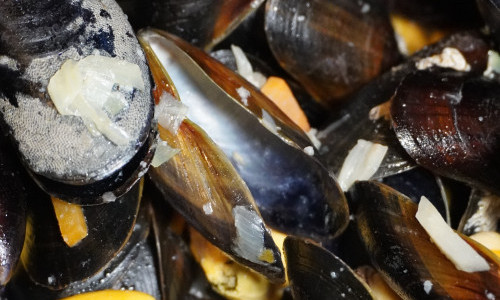 Moules et Frites in der Fischerh&uuml;tte Z&uuml;rihorn