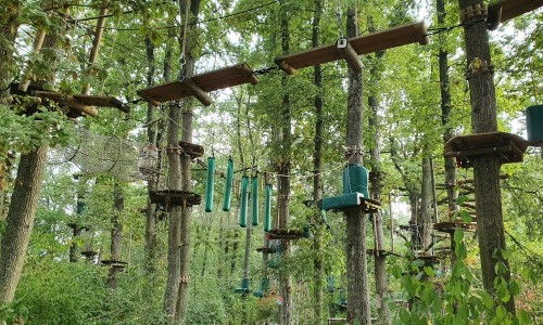 Parc des Evaux - Etang