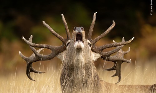 Fokusführung: Naturfotografie