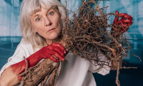 ZINNOBER! – Theater Marie