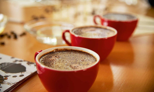 Elterncaf&eacute; Bethlehemacker