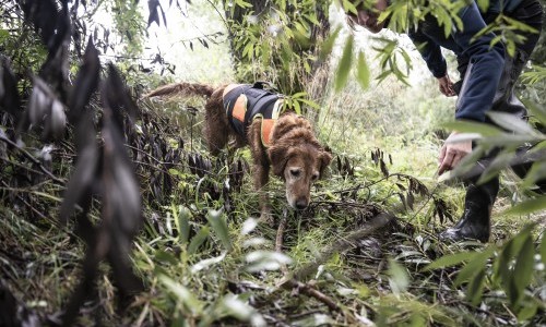 Dem Fischotter auf der Spur