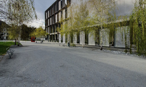BFO Visp
