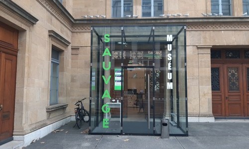 Mus&eacute;um d'histoire naturelle