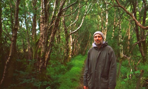 Silver Birch solo in concert 