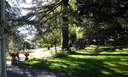 Malévoz Quartier Culturel