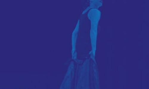 Dans ton int&eacute;rieur - Julia Perrazini / Cie Devon