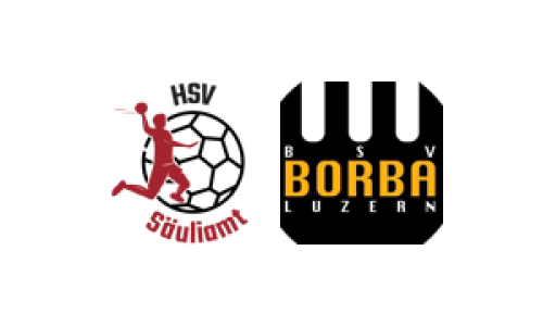 HSV S&auml;uliamt 1 - SG BSV Borba Luzern / TV Horw
