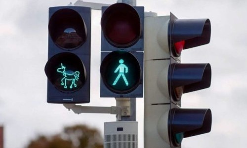 Arte: Das Einhorn. Kulturgeschichte einer Sehnsucht