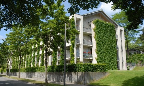 Domicil Steigerhubel