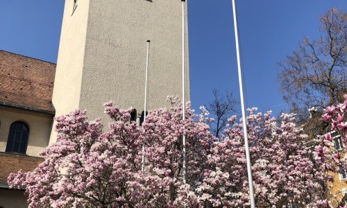 Johanneum Herz Jesu Wiedikon