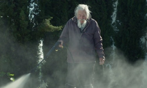 Nebelkinder – Aufbruch aus dem Schweigen