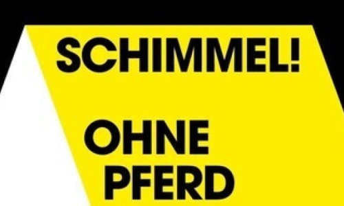 Schimmel! Ohne Pferd und ohne Reiter