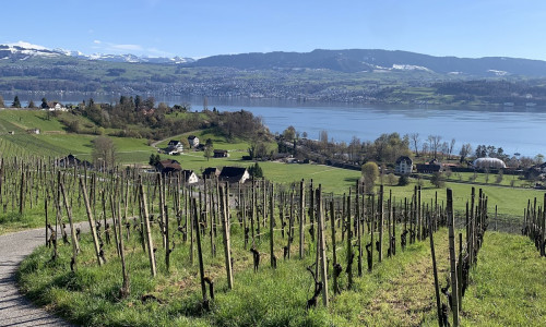 D&uuml;bendorf St&auml;genbuck