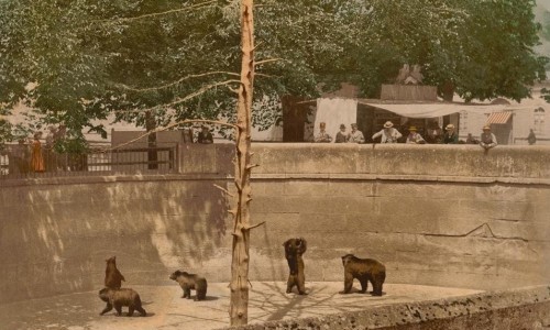 Tour de Suisse mit digitalisierten Drucken