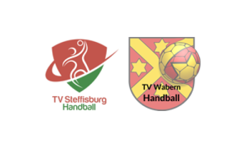 TV Steffisburg HARZ 4 - TV Wabern