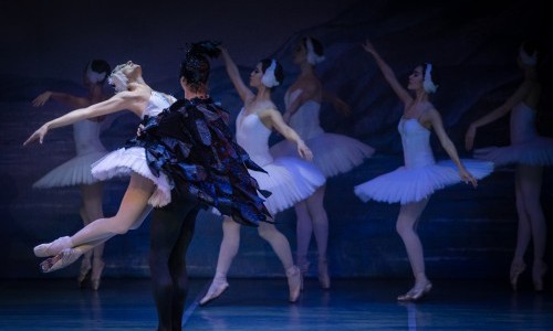 Schwanensee - International Festival Ballet & Orchestra