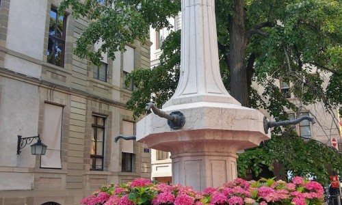 Niaz Nawab (Iran) à Genève le 9 mars 2025 - Conservatoire populaire