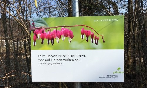 Reusspark - Zentrum für Pflege und Betreung