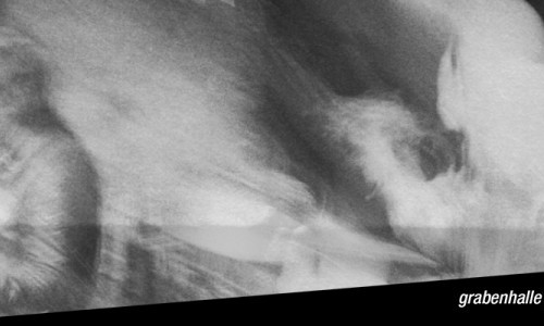 Umut Adan & Zeb&acirc;nis (Tur/ita)