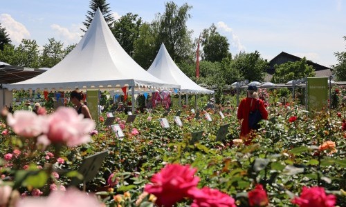 Meiers Rosenfest